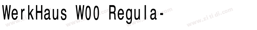 WerkHaus W00 Regula字体转换